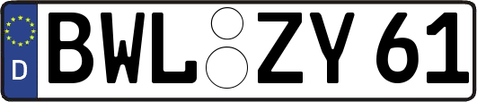BWL-ZY61