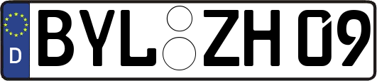 BYL-ZH09