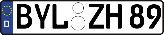 BYL-ZH89