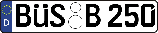 BÜS-B250