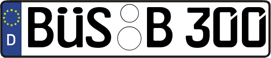 BÜS-B300