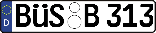 BÜS-B313