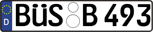 BÜS-B493