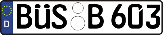 BÜS-B603
