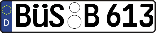 BÜS-B613