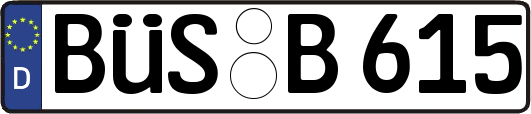BÜS-B615