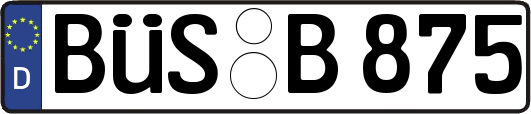 BÜS-B875