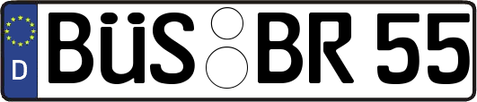 BÜS-BR55