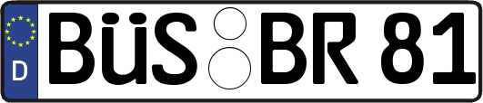 BÜS-BR81