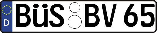 BÜS-BV65