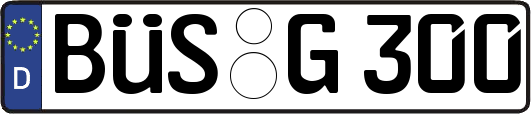 BÜS-G300