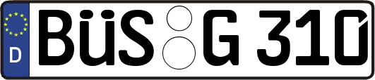 BÜS-G310