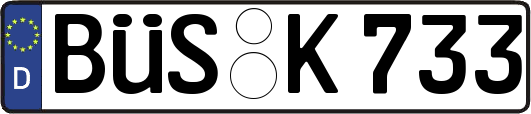 BÜS-K733
