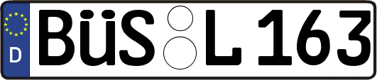 BÜS-L163