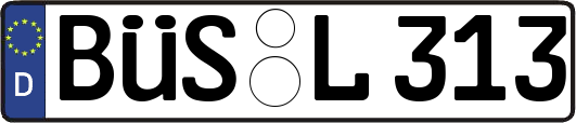 BÜS-L313