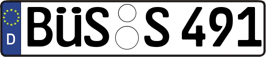 BÜS-S491