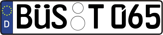 BÜS-T065