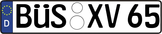 BÜS-XV65