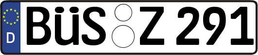BÜS-Z291