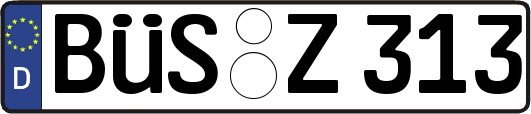 BÜS-Z313