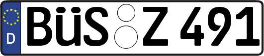 BÜS-Z491