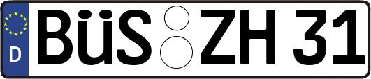 BÜS-ZH31