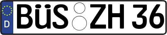 BÜS-ZH36