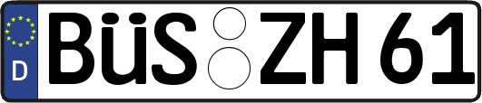 BÜS-ZH61