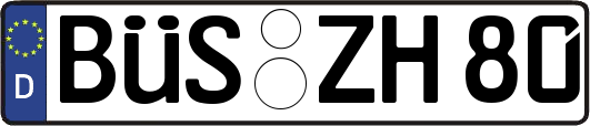 BÜS-ZH80