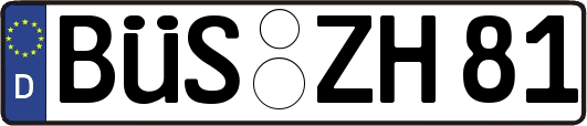 BÜS-ZH81