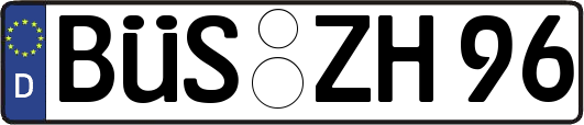 BÜS-ZH96