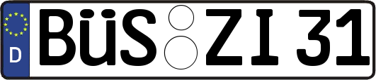 BÜS-ZI31