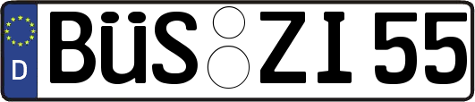 BÜS-ZI55