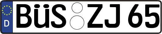 BÜS-ZJ65