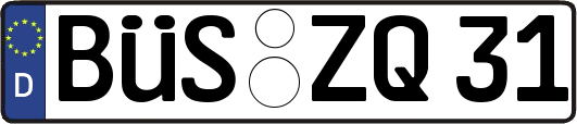 BÜS-ZQ31