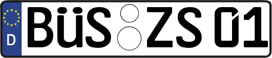 BÜS-ZS01
