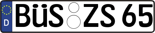 BÜS-ZS65