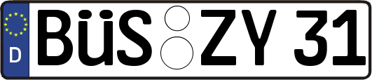 BÜS-ZY31