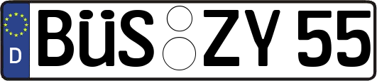 BÜS-ZY55