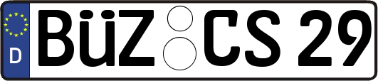 BÜZ-CS29