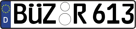 BÜZ-R613