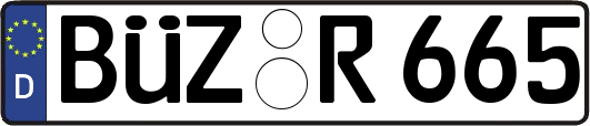 BÜZ-R665