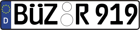 BÜZ-R919