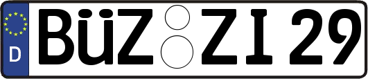 BÜZ-ZI29