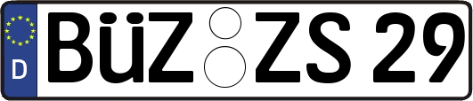 BÜZ-ZS29