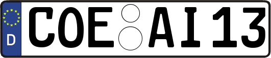 COE-AI13