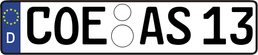 COE-AS13