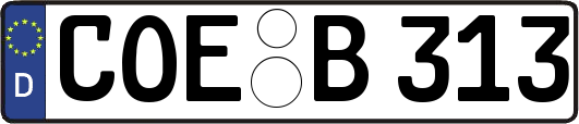 COE-B313