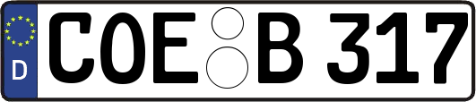 COE-B317