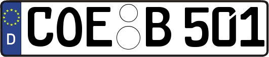 COE-B501